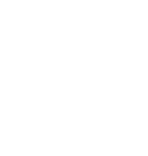 Co-funded by European Union